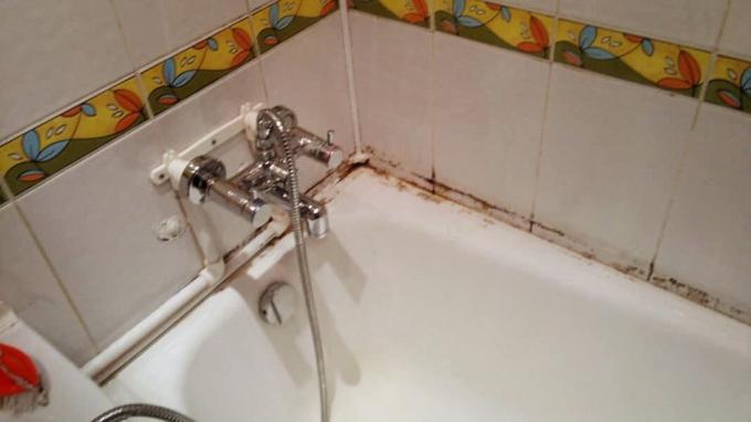 Mold i badeværelset som en egenskab ved mange lejligheder | ZikZak 