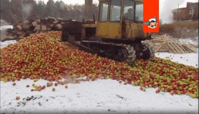 Hvorfor sanktioner produkter knust med en bulldozer? | ZikZak