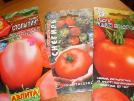 Den første afgrøde af tomater - start med hvilke kvaliteter?