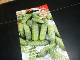 7 superpuchkovyh agurker, som afviger mirakel afgrøde og funky smag