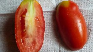 Hvorfor tomater hvid og stiv seredinka.
