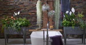 Planterne i badeværelset bidrager til salig stemning. 6 varianter af "live" indretning