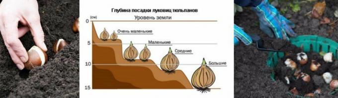 Et illustrativt eksempel på diagrammet. Taget fra mirfermera.ru