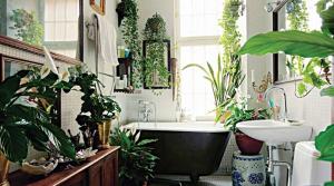 Potteplanter til elegant badeværelse eller hvordan man kan bringe en levende touch til det indre af dit intime rum