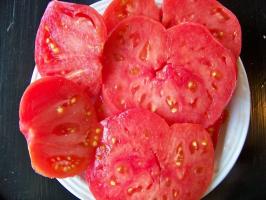 8 usædvanlige og lækre sorter af tomater