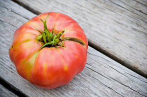 Grow lækre og gode tomater på senge