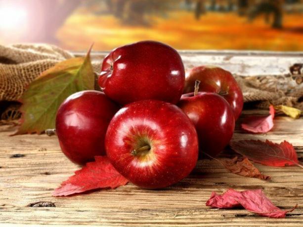 Hvad er fordelene ved æbler, og kan de skade kroppen