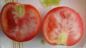 Hvorfor dyrke tomater med hvide årer, og hvad de skal gøre