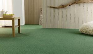 Carpeting: hvordan man vælger, at lægge og pleje?
