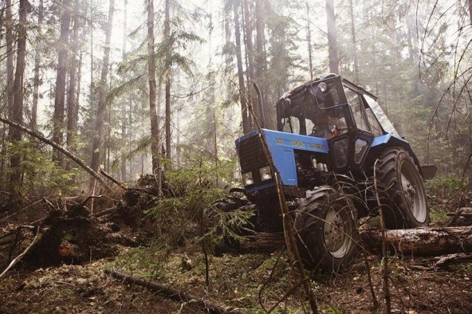 Hviderusland traktor i skoven