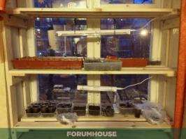 Stativer til kimplanter: succesfulde løsninger Forumhouse brugere