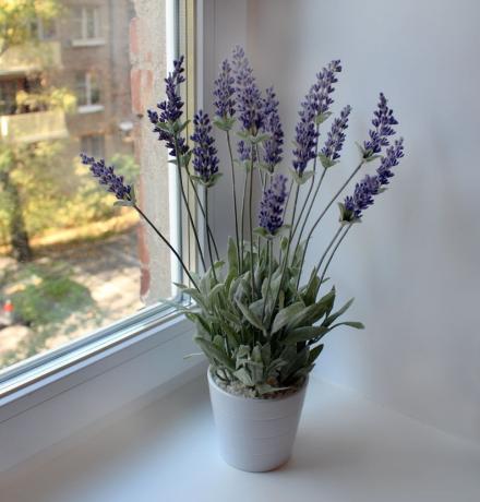 Charmerende hjem Lavendel