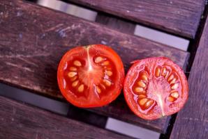 Hvordan man finder en tomatfrø klogt