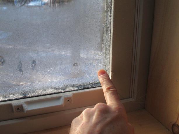 Her er problemet - kondens på vinduerne. Foto til artiklen er taget fra internettet