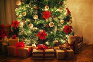 Hvordan man vælger et juletræ baseret på din stjernetegn. 12 udestående ideer