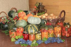 Efteråret vinter fodring: hvordan til at indsamle og bevare høst haven afgrøder