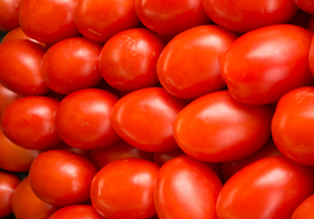 Hvordan til at plante tomater. Altid venlige skud