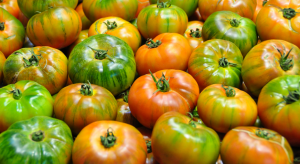 Super dressing af bor for tomater