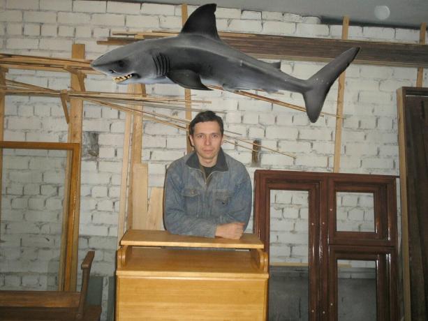 Shark er taget fra tjenesten Yandex-billeder