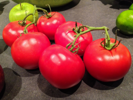 7 bedste tomat dværg sorter (udendørs)