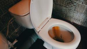 Hvordan du hurtigt og nemt rydde op i toilettet fra rust og gule plak?