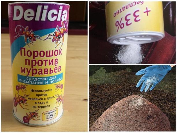 Delicia pulver fra myrer, omkostningerne pr 500g, mere end 600 rubler.