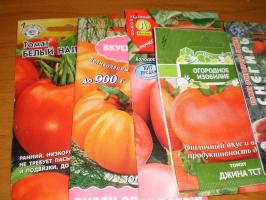 Super fremgangsmåde til neddypning tomat frø. Hvordan man ikke at blande sorter? Master klasse