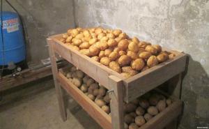Sådan opbevarer kartofler i lejligheden og huset