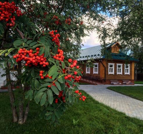 Rowan - en traditionel ornament af russiske landsbyer! (Foto fra playcast.ru)
