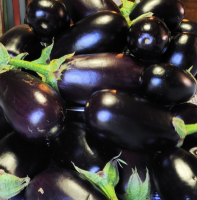 Sæson arbejdsemner provenu. Forbered aubergine fantastisk smag celle i vinteren (ellers lecho)