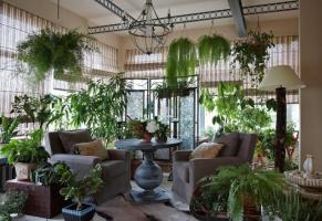 Som original og smagfuldt dekorere dine stueplanter, hvilket gør det indre af værelserne uforglemmelige. 6 design ideer