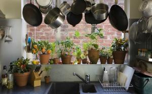 Hvor original og praktisk at tilføje indendørs planter og urter i det indre af dit køkken. 7 design tips