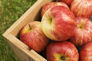Lagrede vitaminer: korrekt opbevaring af æbler i vinteren