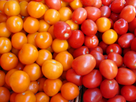 6 ydende sorter af tomater til drivhuse