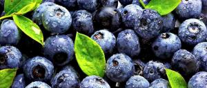 Fordelene ved blåbær til kroppen