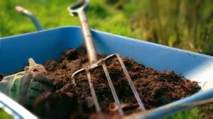 4 bedste måder at bruge tørv i haven. Og nogle af de risici